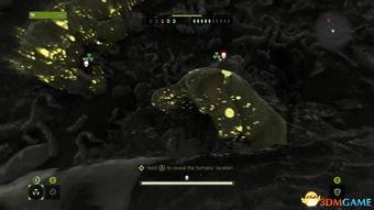 玩家爆料僵尸视频大全集,惊悚揭秘！僵尸视频大全集深度解析  第3张